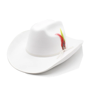 White felt wide brim cowboy hat with colorful feather detail and woven rope trim