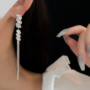 Detail of long silver tassel earrings with sparkling crystals worn by a model