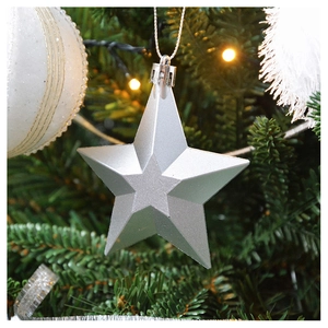 Silver star-shaped Christmas tree ornament with a matte metallic finish on branch
