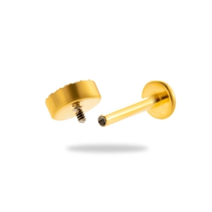 Golden G23 titanium labret stud with zircon screw top for cartilage piercings