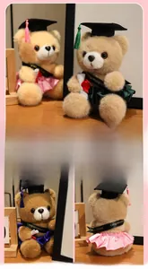 Detail eines Plüsch-Abschluss-Teddybären aus weichem Nerzvlies mit Diplom und Hut
