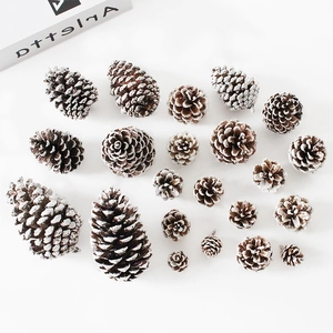 Natural Pine Cones Christmas Tree Decorations Snowy White Wood Cones Winter DIY Crafts Holiday Ornaments Photography Props