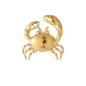 Polished gold crab earrings jewelry set with textured surface on a white background