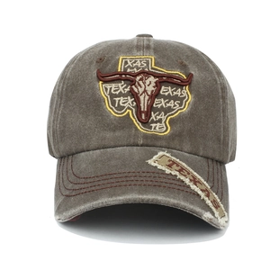 Macro detail of Texas longhorn bull embroidery on washed gray cotton baseball cap
