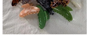 Assortment of large acetate hair claws in marble, tortoiseshell, and glossy finishes