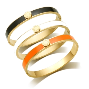 Luxury stainless steel bangles with Roman numerals and colorful enamel insets