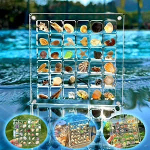 Clear 36-grid acrylic shell storage box with magnetic lid for specimen collection