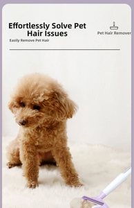 Lint roller for pet hair removal on white plush carpet with a brown poodle puppy