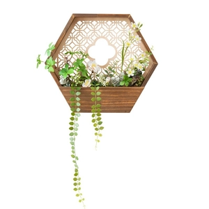 Jardinera de pared hexagonal de madera con enredaderas y plantas suculentas