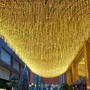 Catena luminosa a LED bianco caldo a cascata per decorazioni esterne commerciali
