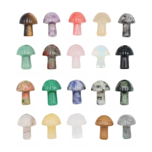 20 types of mini mushroom crystals and natural gemstones in a grid display with names