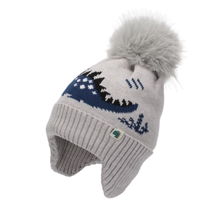 Kinder-Wintermütze in Grau mit Ohrenschützern und blauem Dinosaurier-Strickmuster