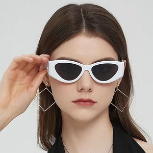 Retro Cat Eye Sunglasses Thick Frame PC AC UV400 Protection Y2K Punk Hip Hop Fashion Eyewear For Women Men