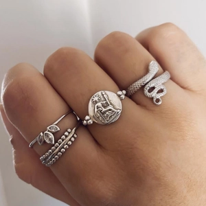 Silver snake ring set with coin charm and zircon leaf ring for men and women
