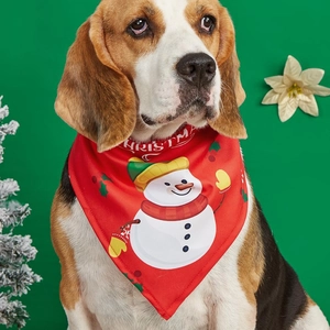 Close-up of a red Christmas pet bandana with snowman pattern worn by a beagle dog