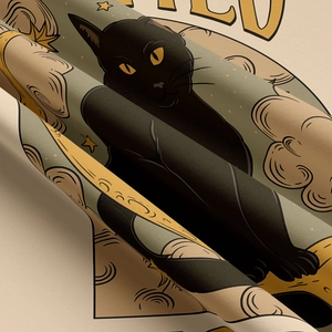 Detailed macro shot of premium twill fabric showing black cat illustration and stars