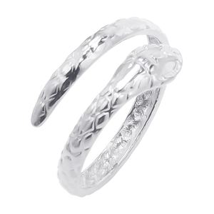 Detail shot of silver snake ring featuring intricate scale textures and spiral design