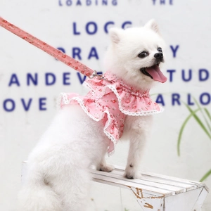 Detailed view of pink floral pet harness set with delicate lace trim on a white dog