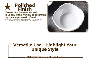 Macro detail of polished white melamine sauce dish with smooth round edges and matte finish
