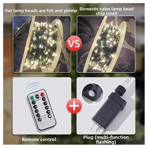 Detail view of high-brightness LED beads with multi-function remote control and power adapter
