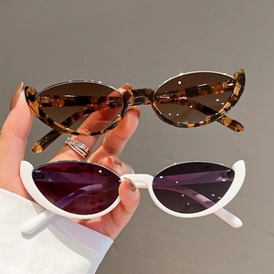 Retro Cat Eye Sunglasses UV400 Protection PC Frame Vintage Trendy Eyewear For Women Outdoor Fashion