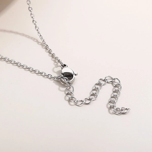 Polished stainless steel necklace featuring a lobster clasp and extension chain detail