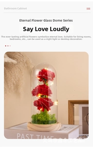 Preserved carnations in glass dome with LED light on wooden base for home decor