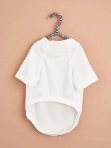 Close-up of white mesh pet t-shirt fabric texture on a grey hanger with soft lighting