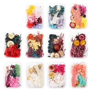 Mixed Natural Dried Flowers For DIY Resin Craft Candle Making Scrapbooking Floral Decorations Multiple Colors Botanical Materials