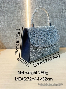 Detail view of silver rhinestone handbag showing size 20x13x6cm and twisted crystal handle