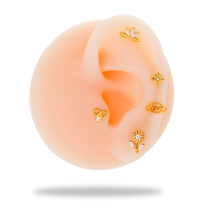 G23 titanium gold stud earrings set featuring zircon flower and star shapes on ear model