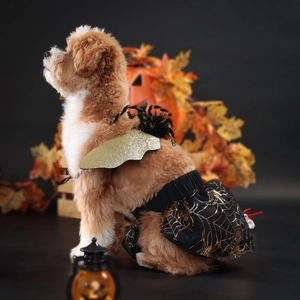 Detail of dog Halloween costume with gold glitter wings and spider web print skirt