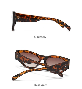 Detailsicht der Cat-Eye-Sonnenbrille mit Schildpattmuster und Metallnieten an den Bügeln