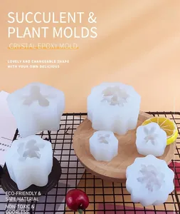 Vue détaillée de 6 moules en silicone succulente pour la fabrication de bougies et résine