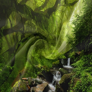 Dettaglio dell'arazzo foresta tropicale che mostra la trama della stampa e le pieghe a spirale