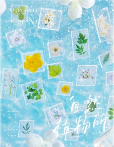 Macro detail of real pressed botanical specimens in clear 3D acrylic craft stickers