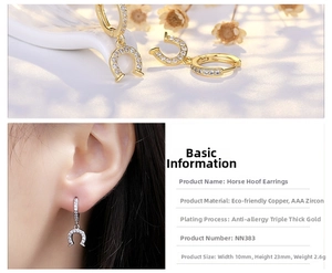 Detail view of horseshoe-shaped earrings with AAA zircon inlay in gold and silver finishes