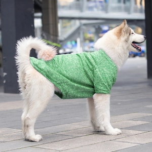Green knit short-sleeve pet T-shirt for large dogs like Alaskan Malamutes and Golden Retrievers