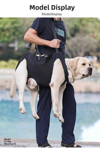 Outdoor scene of XL black lifting harness supporting a large Labrador dog for mobility aid