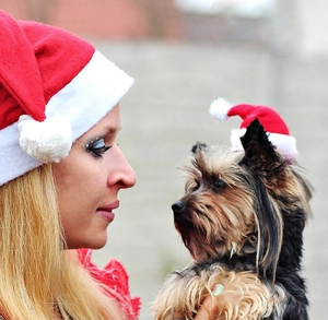 Close-up of a woman and Yorkshire Terrier wearing matching red plush Christmas hats