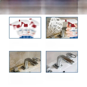 Four-step usage guide for mold remover spray showing detailed application instructions