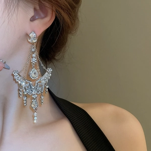 Close-up of extra-long silver tassel earrings with crystals and pearls on model