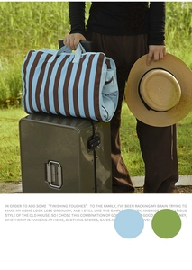 Travel organizer bag with blue-brown stripes shown on luggage in a natural outdoor setting