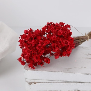 Dried red star flower bouquet for DIY crafts and aromatherapy decor on white wood