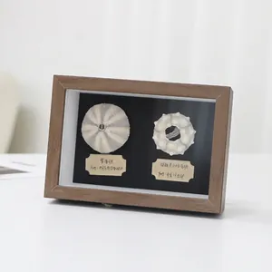 Handmade sea urchin specimen shadow box with wood frame for coastal wall art decoration