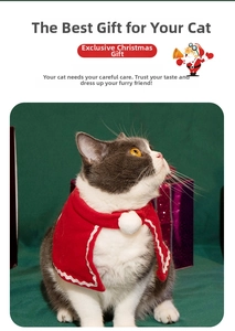Detail of red Christmas pet cape with white wavy lace trim and soft plush pompom