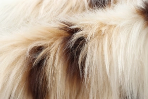 Macro detail of high-quality faux fur texture in cream, light brown and dark brown tones