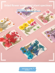 Makroaufnahme von sortierten bunten gepressten Trockenblumen für DIY-Harz und Lesezeichen