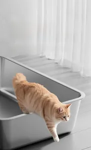 Bac à litière ouvert en acier inoxydable avec un chat roux dans un intérieur moderne