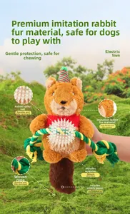 Detail of dog toy showing plush squirrel, rubber spiked ball and durable cotton rope